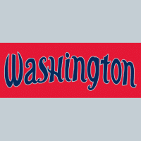 Washington Mystics 2011-Pres Wordmark Logo Transfers for dress 4