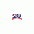 1994 95 Windsor Spitfires Anniversary Logo Light Iron-on Stickers (Heat Transfers)