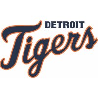 Detroit Tigers Script Logo  Light Iron-on Stickers (Heat Transfers) version 1