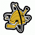 1999 00-Pres Sarnia Sting Alternate Logo Light Iron-on Stickers (Heat Transfers)