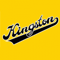 2010 11-Pres Kingston Frontenacs Alternate Logo Light Iron-on Stickers (Heat Transfers)