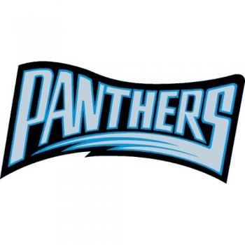 Carolina Panthers Script Logo  Light Iron-on Stickers (Heat Transfers)