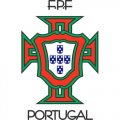 Portugal Football Confederation Light Iron-on Stickers (Heat Transfers)