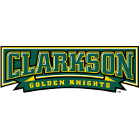 Clarkson Golden Knights 2004-Pres Wordmark Logo Light Iron-on Stickers (Heat Transfers)