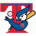 Toronto Blue Jays Primary Logo  Light Iron-on Stickers (Heat Transfers)