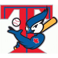 Toronto Blue Jays Primary Logo  Light Iron-on Stickers (Heat Transfers)