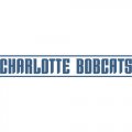 Charlotte Bobcats Script Logo  Light Iron-on Stickers (Heat Transfers) version 3