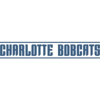 Charlotte Bobcats Script Logo  Light Iron-on Stickers (Heat Transfers) version 3