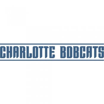 Charlotte Bobcats Script Logo  Light Iron-on Stickers (Heat Transfers) version 3