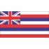 Hawaii State Flag Light Iron On Stickers (Heat Transfers)