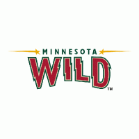 Minnesota Wild 2010 11-Pres Wordmark Logo Light Iron-on Stickers (Heat Transfers)