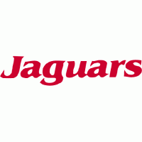 1997-Pres South Alabama Jaguars Wordmark Logo Light Iron-on Stickers (Heat Transfers)