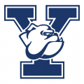 1998-Pres Yale Bulldogs Primary Logo Light Iron-on Stickers (Heat Transfers)