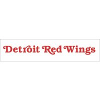 Detroit Red Wings Script Logo  Light Iron-on Stickers (Heat Transfers) version 1