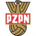 Poland Football Confederation Light Iron-on Stickers (Heat Transfers)