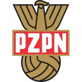 Poland Football Confederation Light Iron-on Stickers (Heat Transfers)