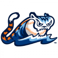 West Michigan Whitecaps alternate logo-(2013-pres)Light Iron-on Stickers (Heat Transfers) 01