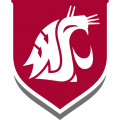 1995-Pres Washington State Cougars Alternate Logo Light Iron-on Stickers (Heat Transfers)