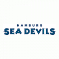 Hamburg Sea Devils 2005-2007 Wordmark Logo1 Light Iron-on Stickers (Heat Transfers)