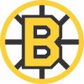 Boston Bruins Alternate Logo  Light Iron-on Stickers (Heat Transfers)