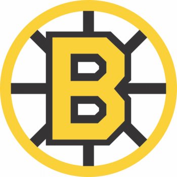 Boston Bruins Alternate Logo  Light Iron-on Stickers (Heat Transfers)