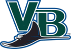 Vero Beach Devil Rays Iron Ons