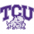 1995-Pres TCU Horned Frogs Alternate Logo Light Iron-on Stickers (Heat Transfers)