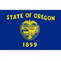 Oregon State Flag Light Iron On Stickers (Heat Transfers)