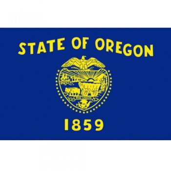 Oregon State Flag Light Iron On Stickers (Heat Transfers)