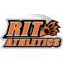 RIT Tigers 2004-Pres Alternate Logo4 Light Iron-on Stickers (Heat Transfers)