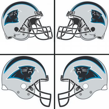 Carolina Panthers Helmet Logo  Light Iron-on Stickers (Heat Transfers)