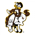 2004-Pres Wyoming Cowboys Misc Logo Light Iron-on Stickers (Heat Transfers) Paper