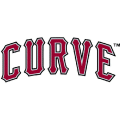 Altoona Curve wordmark logo(1999-2010)Light Iron-on Stickers (Heat Transfers) 01