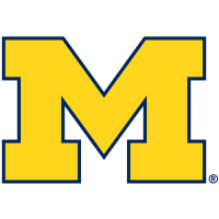 2012-Pres Michigan Wolverines Primary Logo Light Iron-on Stickers (Heat Transfers)