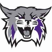 2012-Pres Weber State Wildcats Primary Logo Light Iron-on Stickers (Heat Transfers)