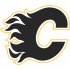 Calgary Flames Alternate Logo  Light Iron-on Stickers (Heat Transfers)