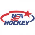 Hockey Team USA Primary Logo  Light Iron-on Stickers (Heat Transfers)