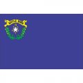 Nevada State Flag Light Iron On Stickers (Heat Transfers)