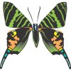 Butterfly Light Iron On Stickers (Heat Transfers) version 2