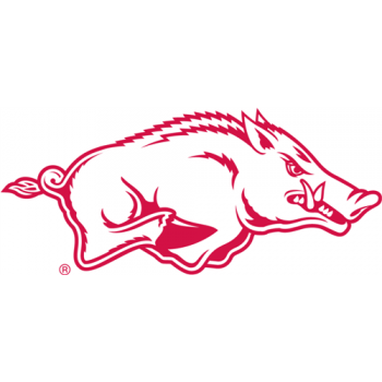 Arkansas Razorbacks 2001-Pres Alternate Logo1 Light Iron-on Stickers (Heat Transfers)