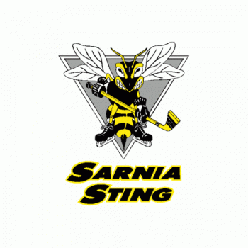 1994 95-1998 99 Sarnia Sting Primary Logo Light Iron-on Stickers (Heat Transfers)