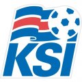 Iceland Football Confederation Light Iron-on Stickers (Heat Transfers)