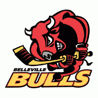 1998-Pres Belleville Bulls Primary Logo Light Iron-on Stickers (Heat Transfers)