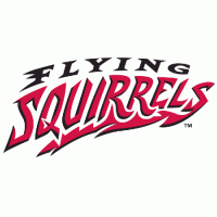 Richmond Flying Squirrels wordmark logo(2010-pres)Light Iron-on Stickers (Heat Transfers) 01