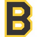 Boston Bruins Primary Logo  Light Iron-on Stickers (Heat Transfers)