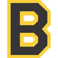 Boston Bruins Primary Logo  Light Iron-on Stickers (Heat Transfers)