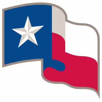 Texas Rangers Alternate Logo  Light Iron-on Stickers (Heat Transfers)