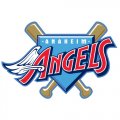 Los Angeles Angels of Anaheim Primary Logo  Light Iron-on Stickers (Heat Transfers)