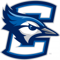 Creighton Bluejays 2013-Pres Primary Logo Light Iron-on Stickers (Heat Transfers)