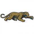 Jacksonville Jaguars Alternate Logo  Light Iron-on Stickers (Heat Transfers) version 3